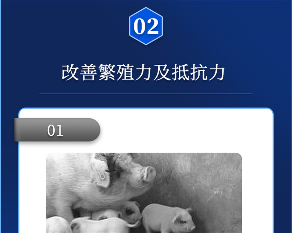 pp����ģ���������������������Ӽ���ֳ����Ʒ����