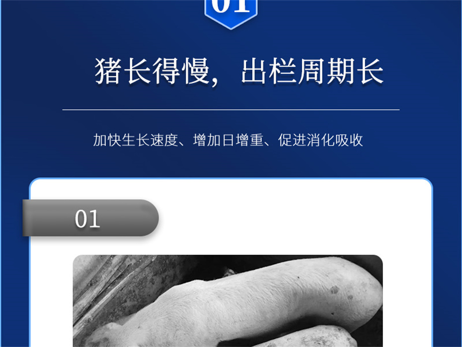 pp����ģ���������������������Ӽ���������Ʒ����