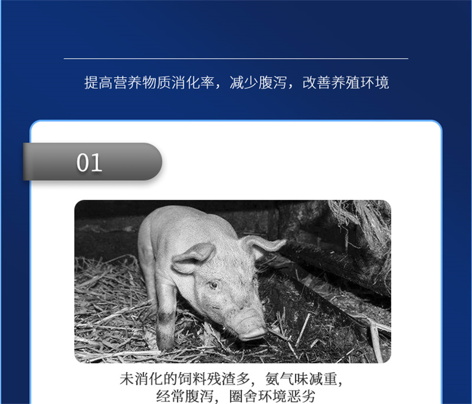 pp����ģ���������������������Ӽ���������Ʒ����