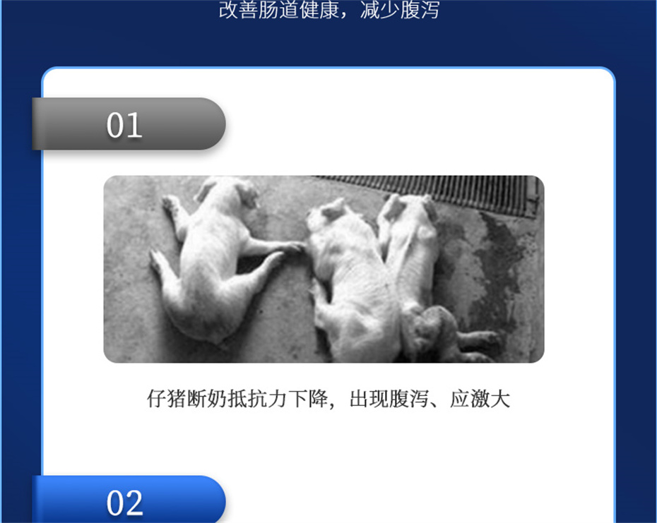 pp����ģ���������������������Ӽ�������������Ʒ����