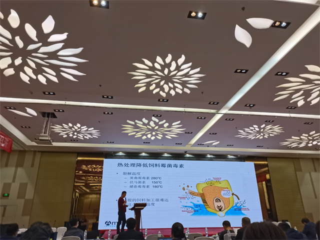 ������̳�ֳ���Ƭ