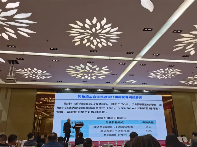 ������̳�ֳ���Ƭ