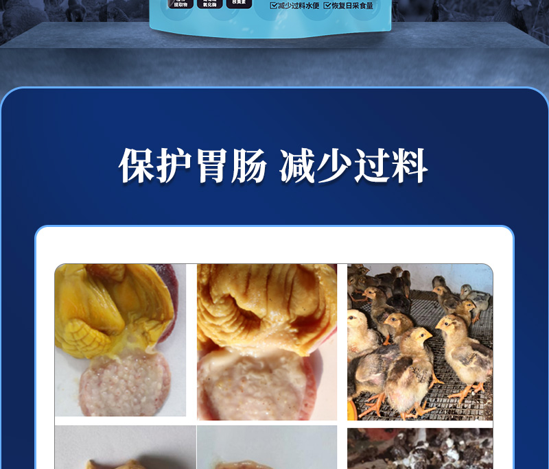 θ����������ҳ_02