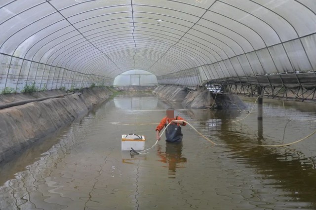 ��Ϻ�����ʱ��