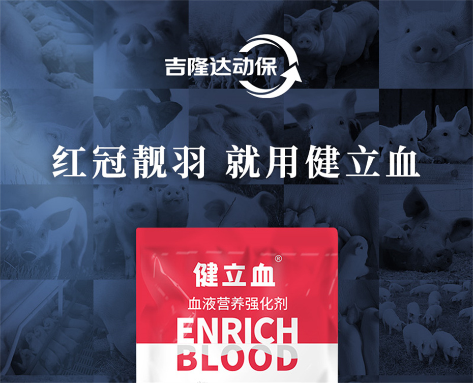 pp����ģ���������������������Ӽ�����Ѫ�ݲ�Ʒ����