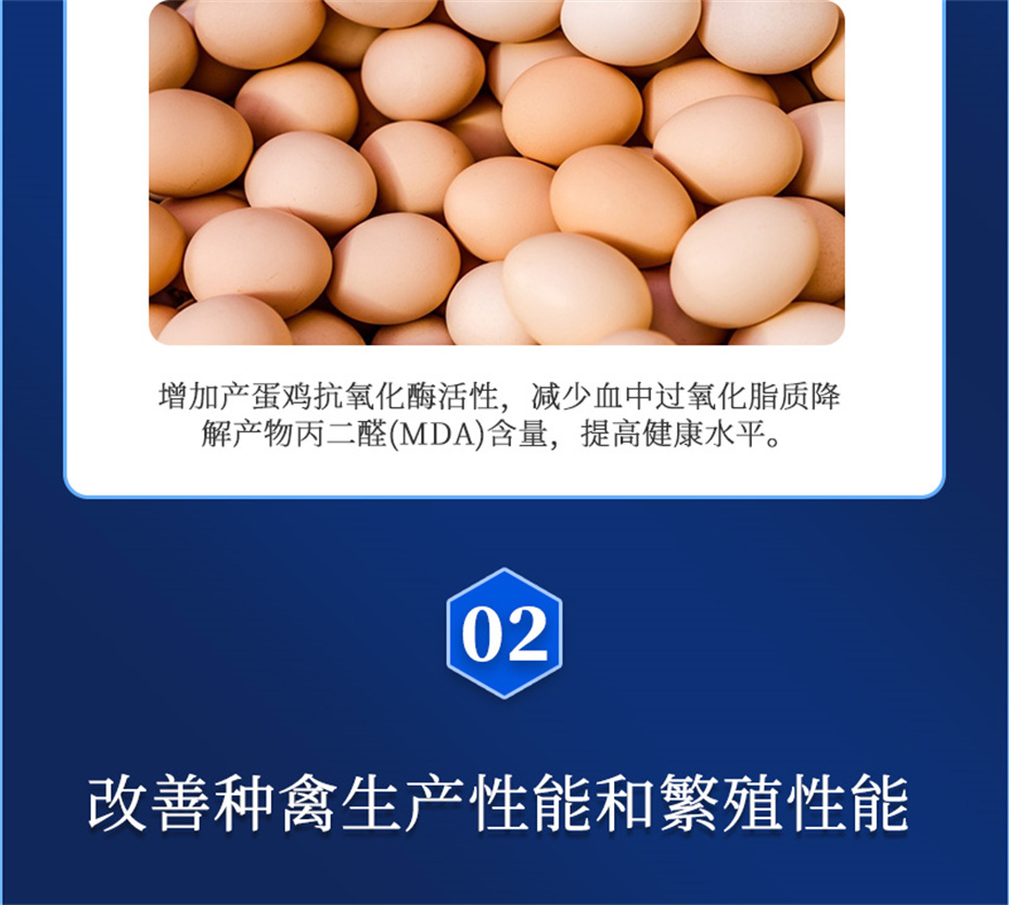 pp����ģ���������������������Ӽ�����Ѫ�ݲ�Ʒ����