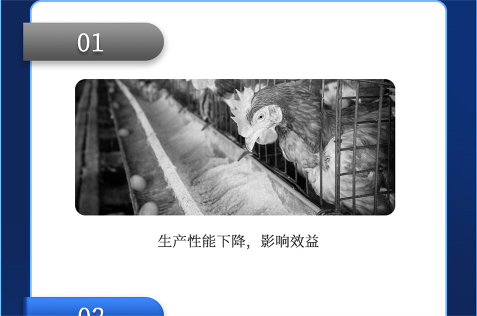 pp����ģ���������������������Ӽ�����Ѫ�ݲ�Ʒ����