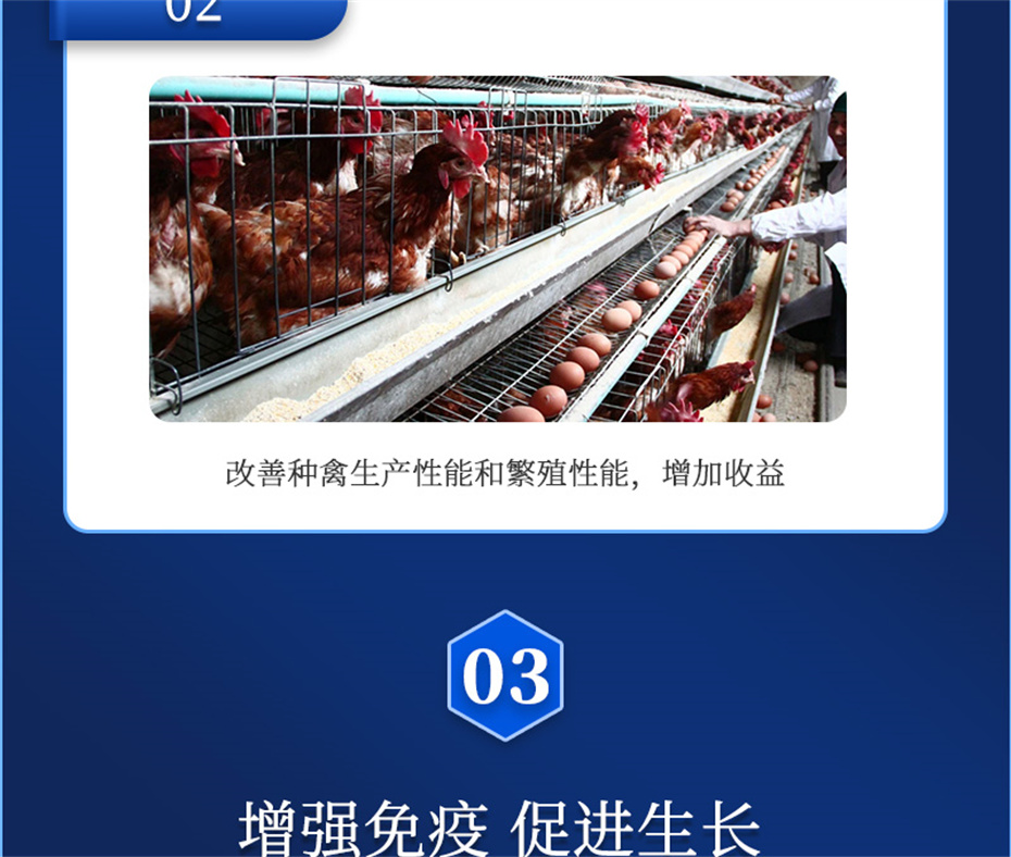 pp����ģ���������������������Ӽ�����Ѫ�ݲ�Ʒ����