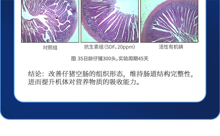 pp����ģ���������������������Ӽ�����120��Ʒ����