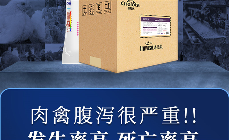 pp����ģ���������������������Ӽ����ﱦ��Ʒ����