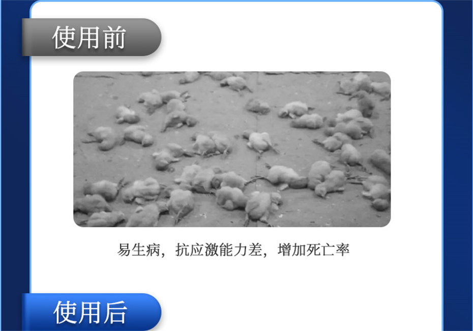 pp����ģ���������������������Ӽ���������Ʒ����