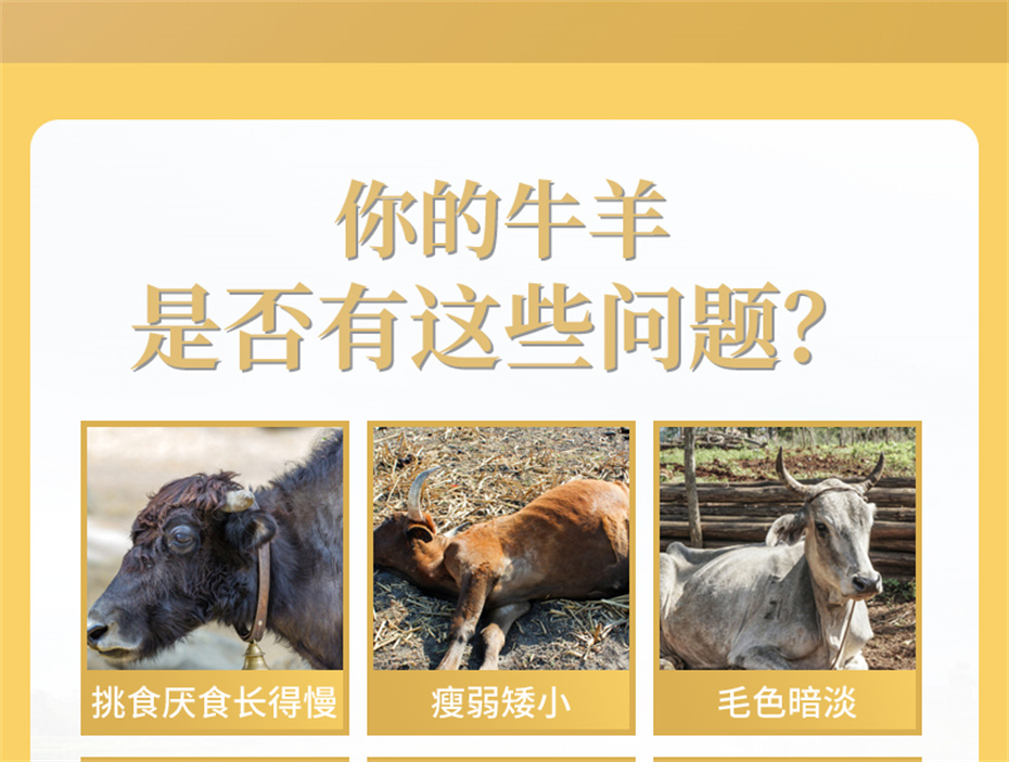 pp����ģ������������ţ���������Ӽ�ţ��׳������Ʒ����