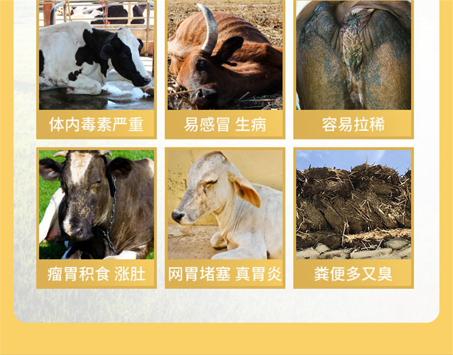 pp����ģ������������ţ���������Ӽ�ţ��׳������Ʒ����