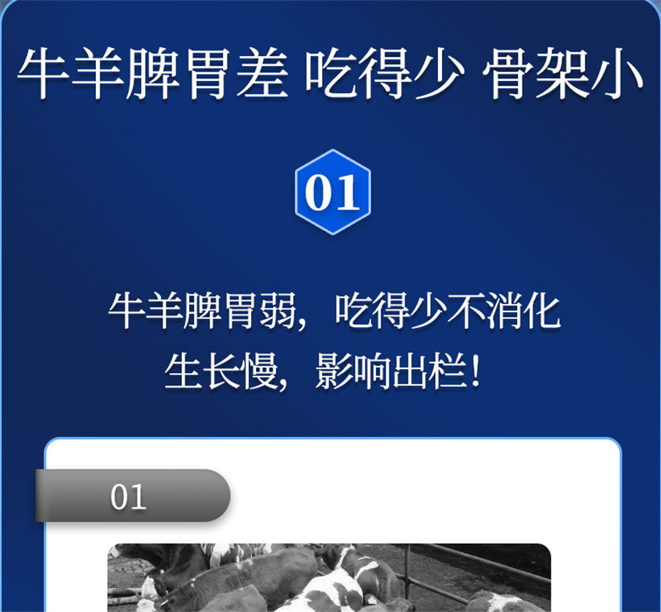 pp����ģ������������ţ���������Ӽ�ţ��Ԫ˧��Ʒ����