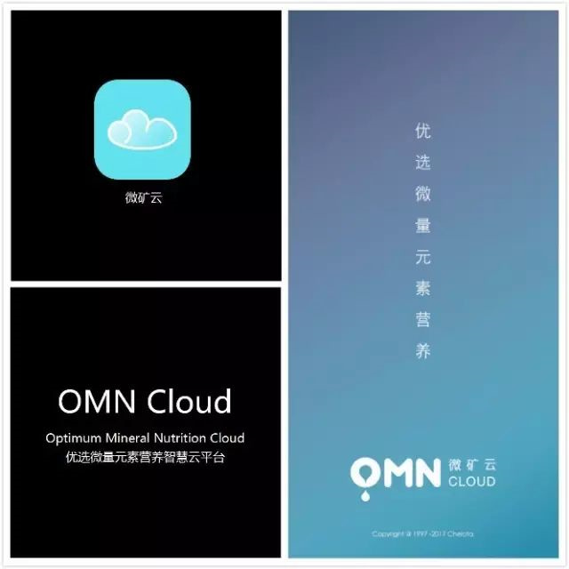 pp����ģ��������΢����