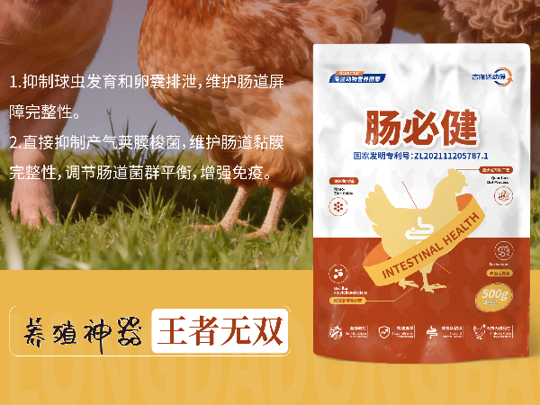 300g-1kg��Ͷ�롢�����Ļر��������ؽ����ۺ�Ч�����