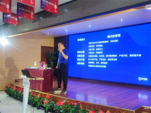 pp����ģ����������Ӱ������Ʒ��רע��΢��