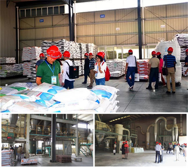 ���������ڲι�pp����ģ���������ⷿ��������