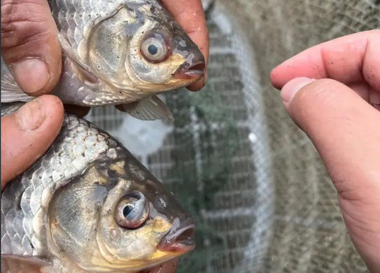 Խ������ο��ٸ�����Ϻ����������