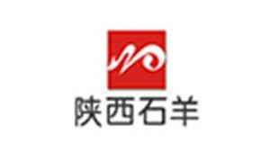 ����ʯ��