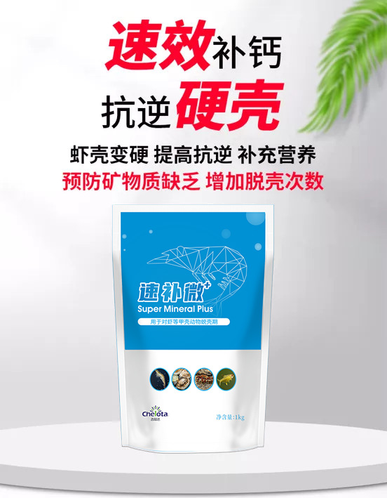 pp����ģ���������ٲ�΢+