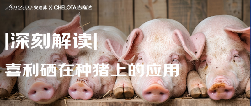 2025.03.27���ķ�����(1)