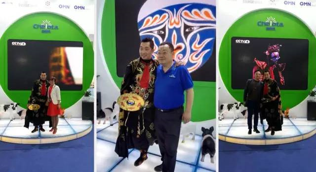 pp����ģ����������չ�й�����������