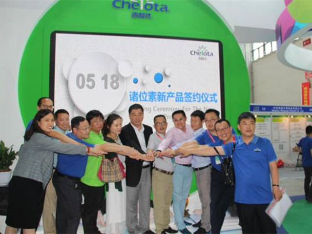 pp����ģ����������չ�й�����������