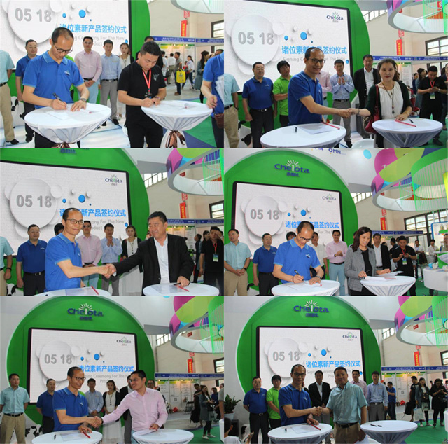 pp����ģ����������չ�й�����������