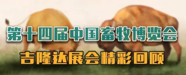 pp����ģ����������չ�й�����������