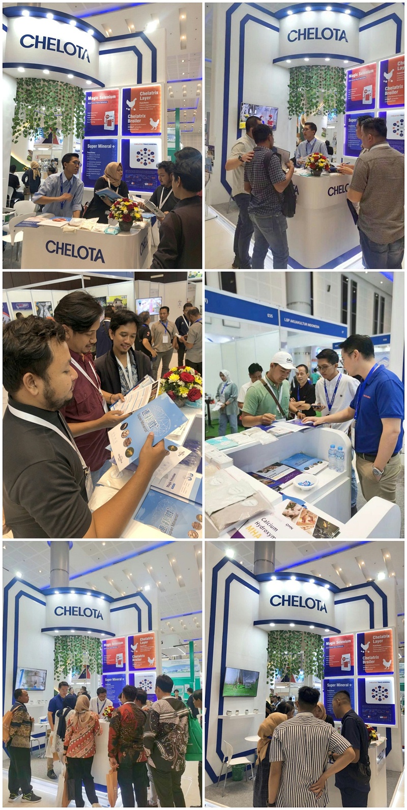 ӡ������չ����pp����ģ��������չλ���