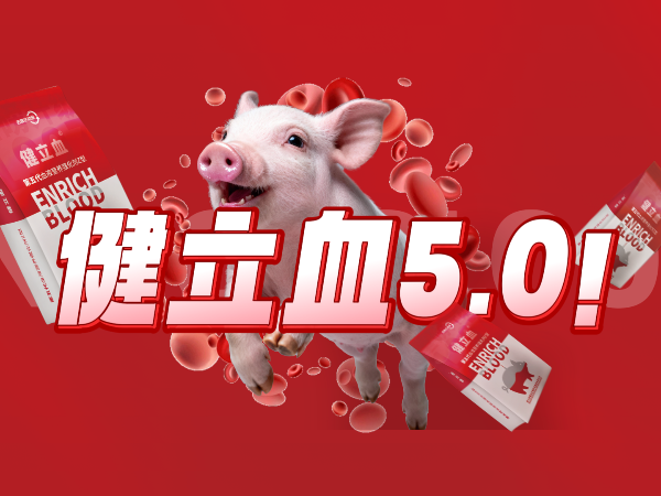 pp����ģ��������������������ͽ���Ѫ�ذ��ǳ���