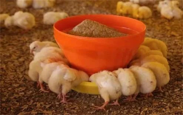 ������Ӧ��������