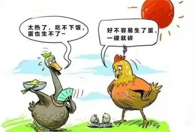 ������Ӧ����Σ��