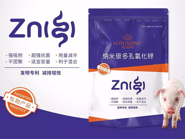 ����п-pp����ģ������������п