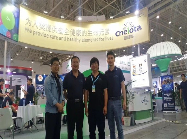 �󲩻�pp����ģ����������װչ̨