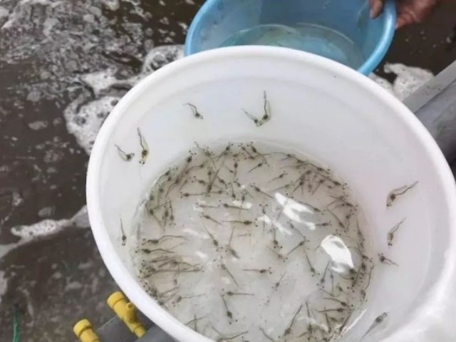 ��Ϻ����ʲ�����ô��