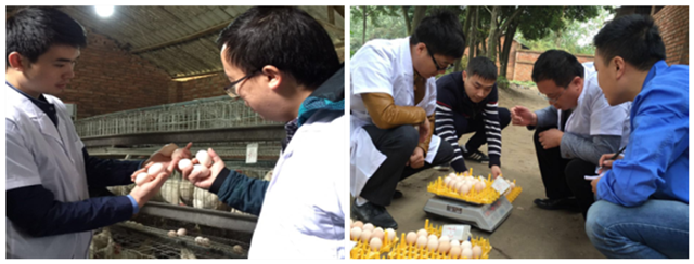 ����΢��Ԫ��