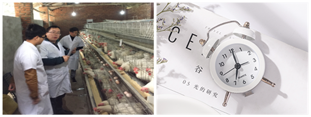 ����΢��Ԫ��