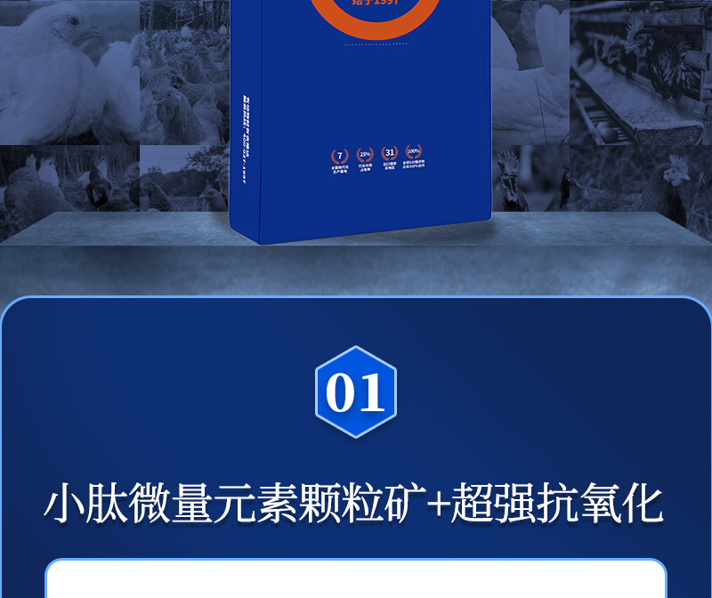 ������G1��������ҳ_02