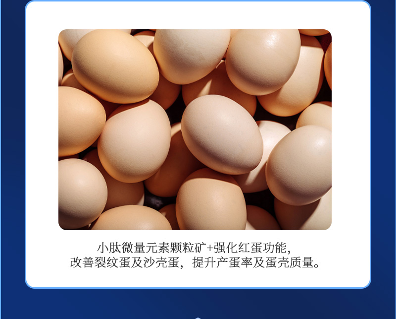 ������G2��������ҳ_03