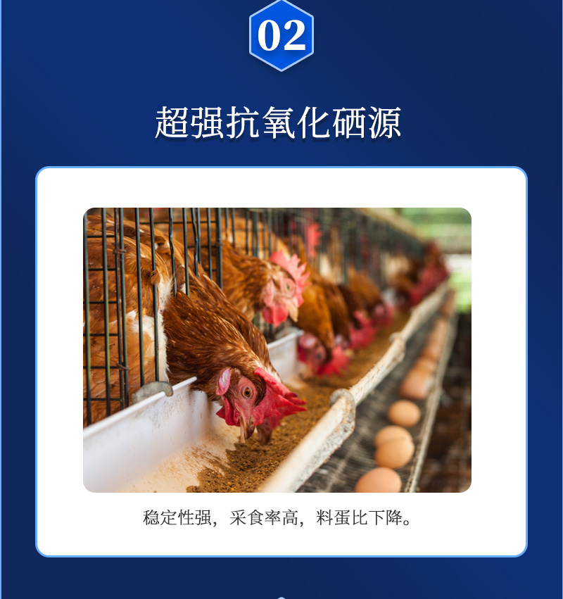 ������G2��������ҳ_04