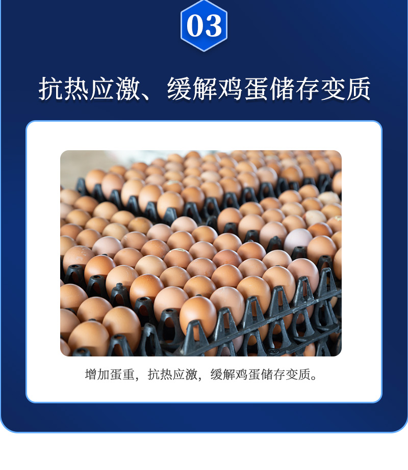 ������G2��������ҳ_05