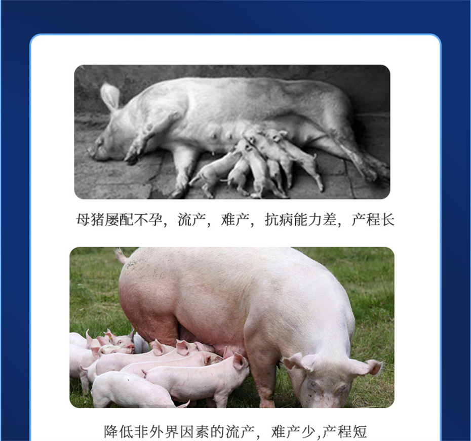 pp����ģ���������������������Ӽ�����Ѫ��Ʒ����