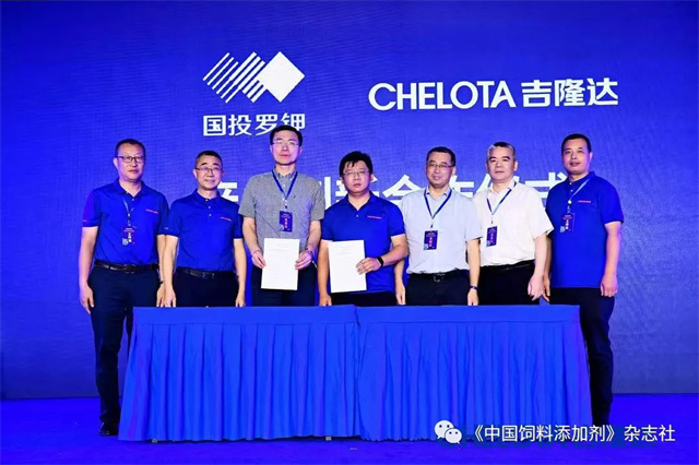 pp����ģ���������о�Ժ������ʽ