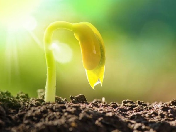 ����pp����ģ����������ҵ��������ˮ������