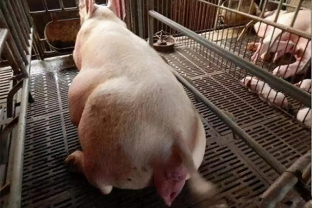 ĸ�����̹���������