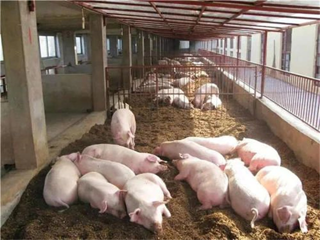 �������Ӽ�