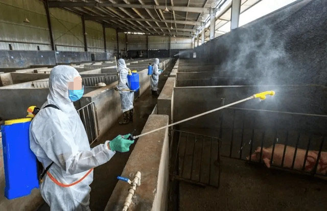 ����Ч�����ô��