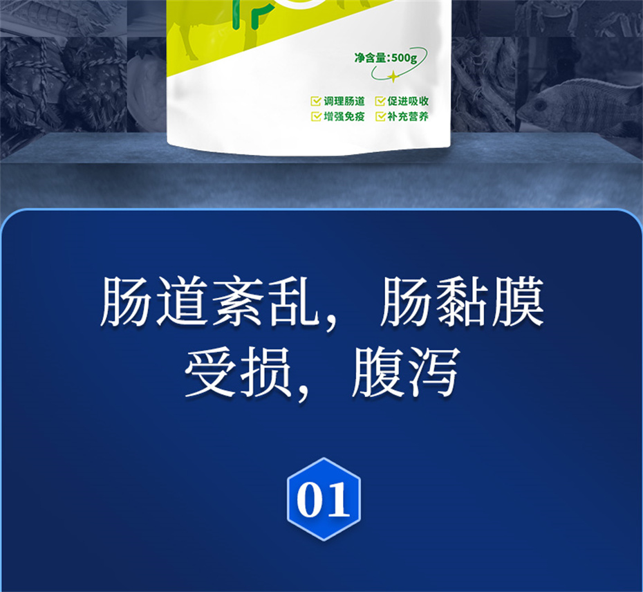 pp����ģ�������������������Ӽ�����Ԫ��Ʒ����